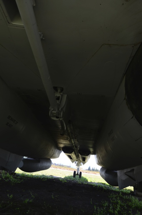 .resize_DSC_4091.jpg