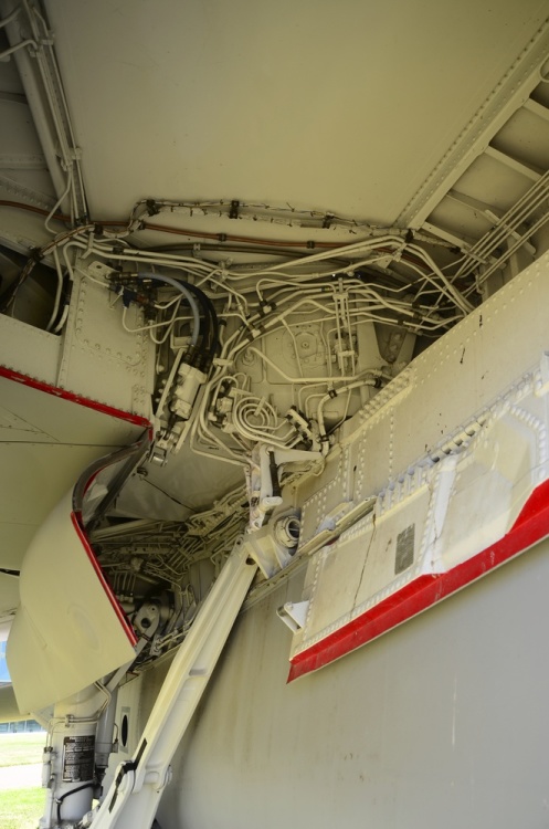 .resize_DSC_4102.jpg