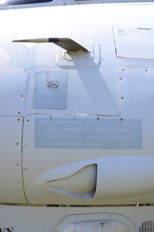 .resize_DSC_4128.jpg