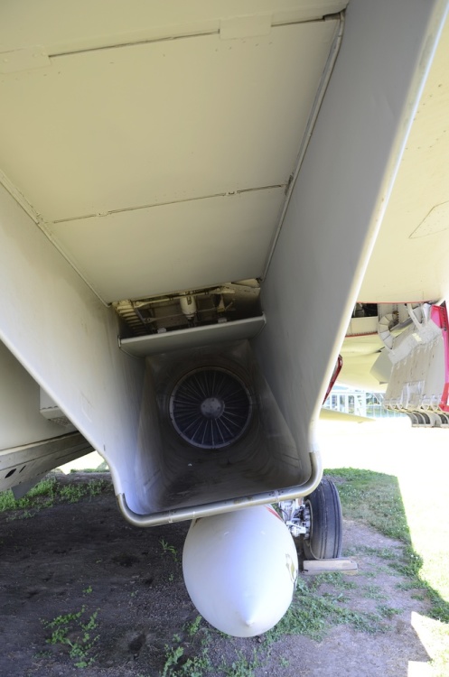.resize_DSC_4133.jpg