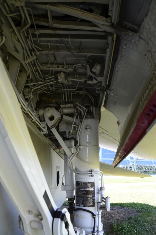 .resize_DSC_4138.jpg