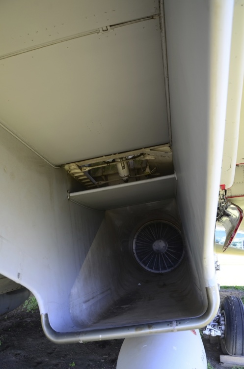 .resize_DSC_4182.jpg