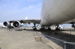 .resize_DSC_3659.jpg