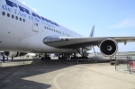 .resize_DSC_4366.jpg