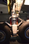 .resize_DSC_4090.jpg