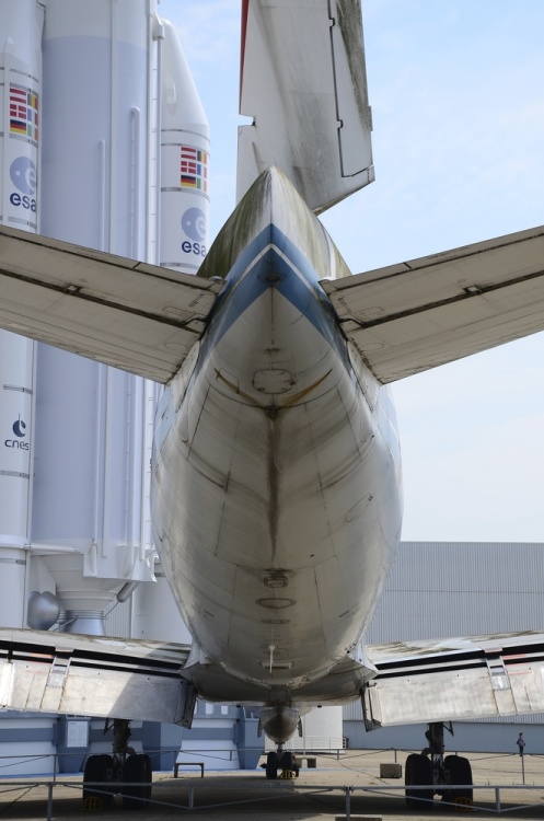 .resize_DSC_3760.jpg