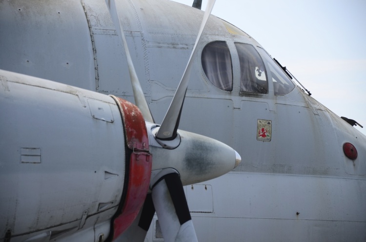 .resize_DSC_3838.jpg