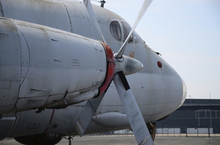.resize_DSC_3846.jpg