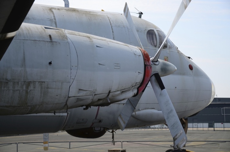 .resize_DSC_3847.jpg