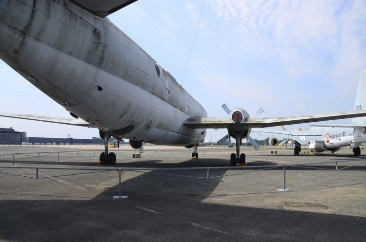 .resize_DSC_3856.jpg