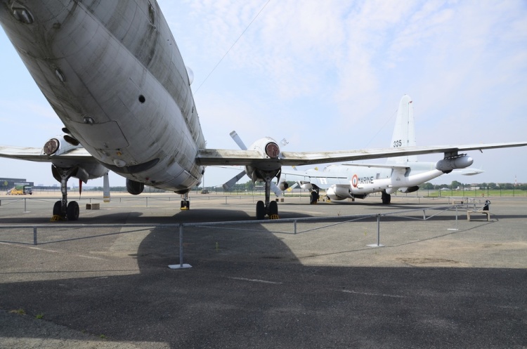 .resize_DSC_3857.jpg