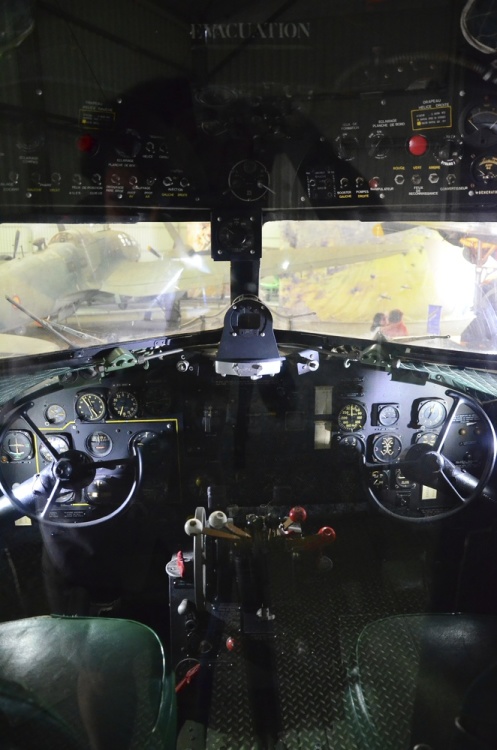 .resize_DSC_3864.jpg