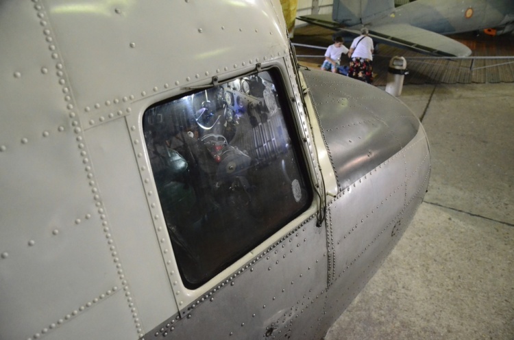 .resize_DSC_3876.jpg