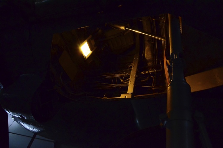 .resize_DSC_3893.jpg