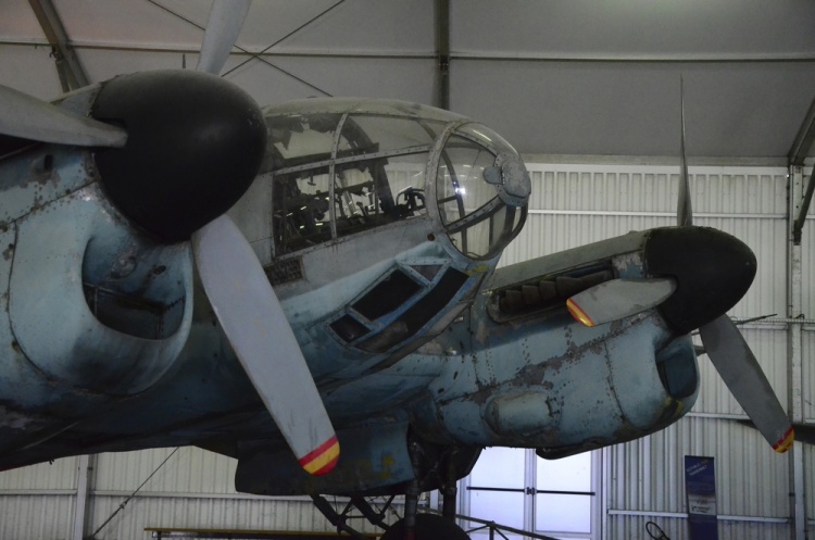 .resize_DSC_3916.jpg