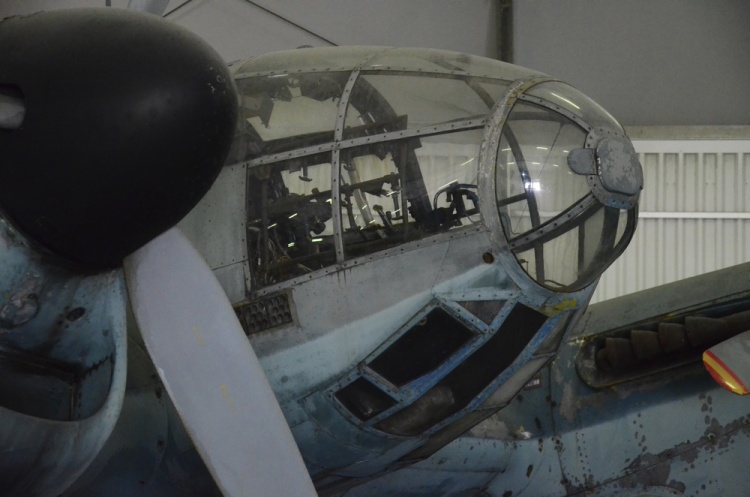 .resize_DSC_3917.jpg
