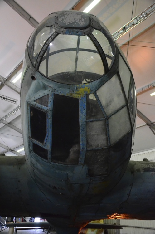 .resize_DSC_3919.jpg