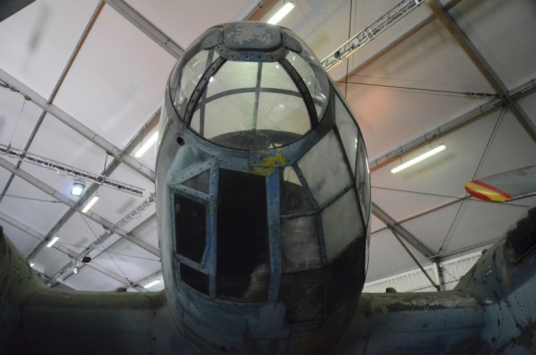 .resize_DSC_3921.jpg