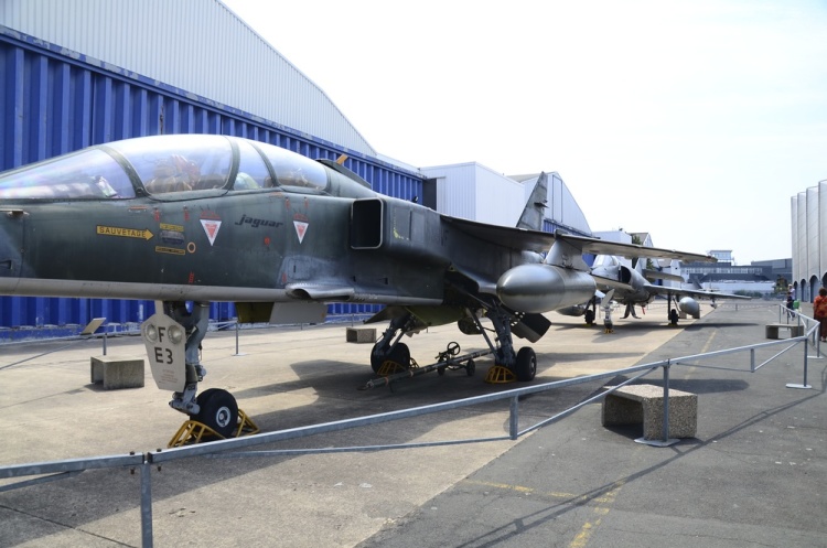 .resize_DSC_3950.jpg