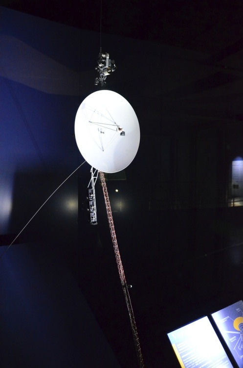 .resize_DSC_4238.jpg