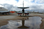 .resize_DSC_0093.JPG
