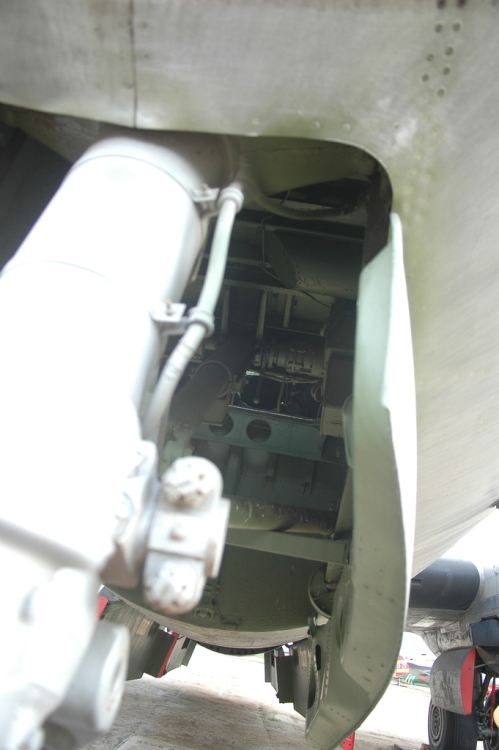 .resize_DSC_0112.JPG
