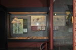 .resize_DSC_5252.JPG