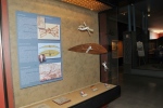 .resize_DSC_5253.JPG