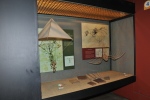 .resize_DSC_5259.JPG