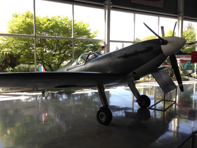 .resize_IMG_3883.JPG