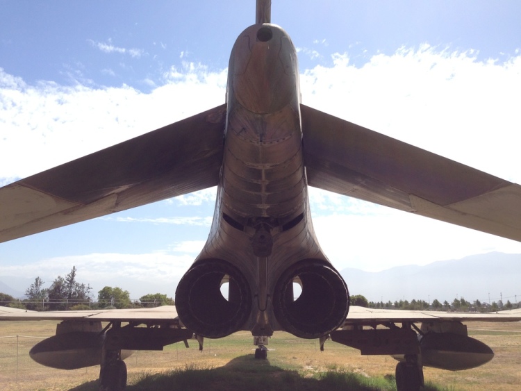 .resize_IMG_3884.JPG