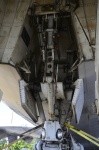 .resize_DSC_7150.jpg