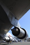 .resize_DSC_7224.jpg
