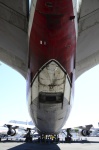 .resize_DSC_7251.jpg