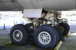 .resize_DSC_7268.jpg
