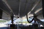 .resize_DSC_7063.jpg