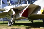 .resize_DSC_7727.jpg