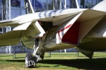 .resize_DSC_7728.jpg