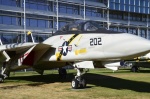 .resize_DSC_7737.jpg