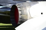 .resize_DSC_7746.jpg
