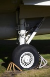 .resize_DSC_7764.jpg