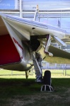 .resize_DSC_7795.jpg