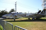 .resize_DSC_7811.jpg