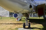 .resize_DSC_7823.jpg