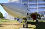 .resize_DSC_7827.jpg