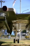 .resize_DSC_7836.jpg