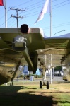 .resize_DSC_7837.jpg
