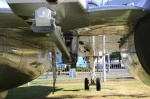 .resize_DSC_7845.jpg