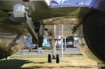 .resize_DSC_7846.jpg