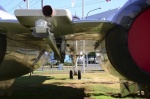 .resize_DSC_7847.jpg